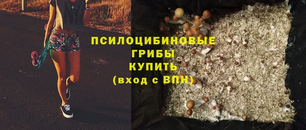 сатива Алексеевка