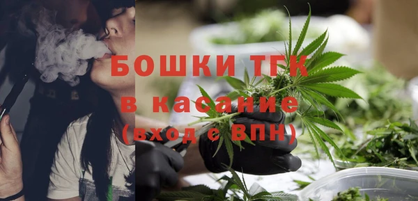 сатива Алексеевка