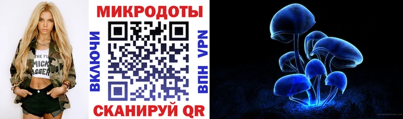 блэк спрут   где купить наркотик  Фролово  Псилоцибиновые грибы Cubensis 
