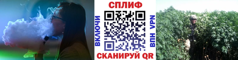 где купить наркоту  Фролово  Канабис Bruce Banner 